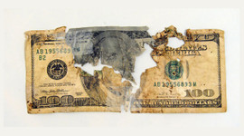 Köpeğin yediği 500 doları Hazine ödedi!