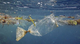 Denizi kirletene rekor ceza!