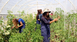 Genç çiftçilere 30 bin