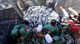 Av yasağı başladı balık zamlandı