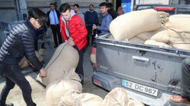 Fındık üreticileri ürünlerini TMO'ya vermeye başladı