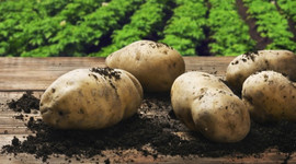 Nisan'da zam şampiyonu 'patates'