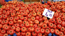 Domatesin ateşi düştü