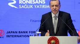 'Almanya kendine çekidüzen versin'