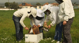 2 ayda 100 bin lira kazanç