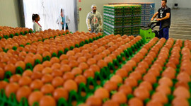 Skandal her geçen gün büyüyor