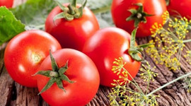 Rusya: Türkiye’den domates alabiliriz