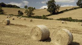 Tarımsal üretime yüzde 50 hibe