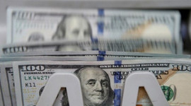 Doların referanduma tepkisi nasıl oldu?