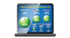 1.000 dolar yatıran parasını 239 bin dolara çıkardı