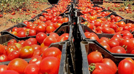 Rusya ve Türkiye anlaşmaya vardı