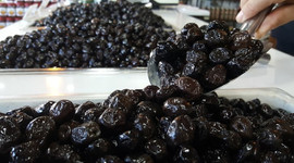 Zeytinde makineli hasat dönemi başladı