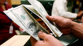 Bakan Bülent Tüfenkci'den dolar tahmini