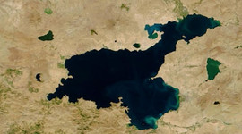 Van Gölü'nde servet yatıyor!