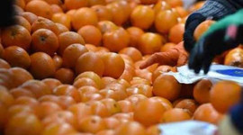 Tarladan sofraya gelene kadar fiyatı yüzde 327 arttı