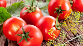 Domates fiyatını 'sera' düşürmeye başladı