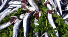 Karadeniz hamsisinin fiyatı 20 lirayı gördü