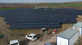 Tarlasına buğday değil güneş ekti