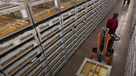 İşte Rusya'nın gizli altın deposu!