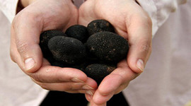 8 şehirden servet fışkırdı!