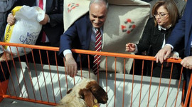 Bakan Fakıbaba: Köyüne dönene 300 damızlık koyun