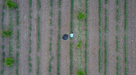 Maliye Bakanı Ağbal açıkladı!