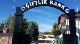 Saadet zinciri kurana kötü haber