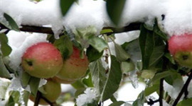 İstanbullulara müjde!