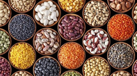 Kuru baklagilde üretim arttı