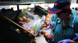 Rusya 5 ürün için yasağı kaldırdı