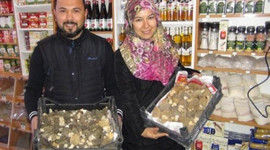 Yaşı 100 kurusu 600 lira