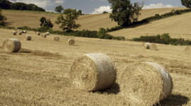 Çiftçiye 30 bin lira hibe