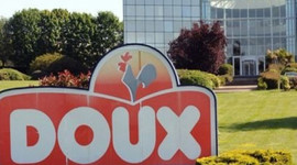 Fransız devi iflas etti