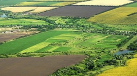 Tarlası olanlar yaşadı