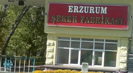 Turhal Şeker Fabrikası'nda kazanan belli oldu