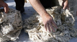 25 yılın rekor fiyatı ödenecek