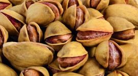 Antep fıstığı cep yakıyor