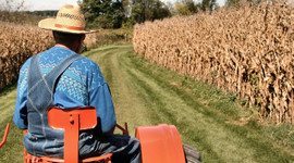 Genç çiftçilere 503 milyon lira hibe