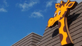 İflasın ardından zürafasını bile satıyor