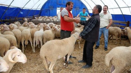 Bayramda bunu yapan yandı!