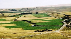 Hazine arazilerine ilişkin yeni düzenleme