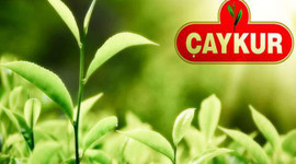 ÇAYKUR'dan önemli uyarı