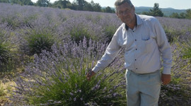 İki kat kazandı köyün kaderini değiştirdi!