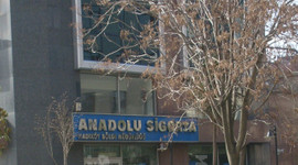 Anadolu Sigorta'ya şok ceza!