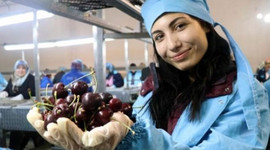 16 bin ton Avrupa'ya gönderiliyor!