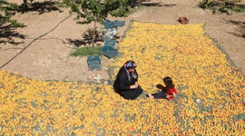 Kadınlara yeni iş kapısı!