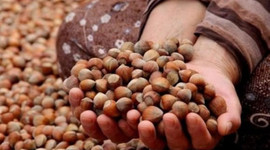 Fiyatın 15 TL olmasını bekliyorlar