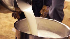 Çiğ sütte yeni fiyat üreticiyi rahatlattı