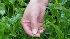 İlk kez Türkiye’de üretildi!