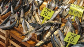 Tanesi 10 liraya düştü